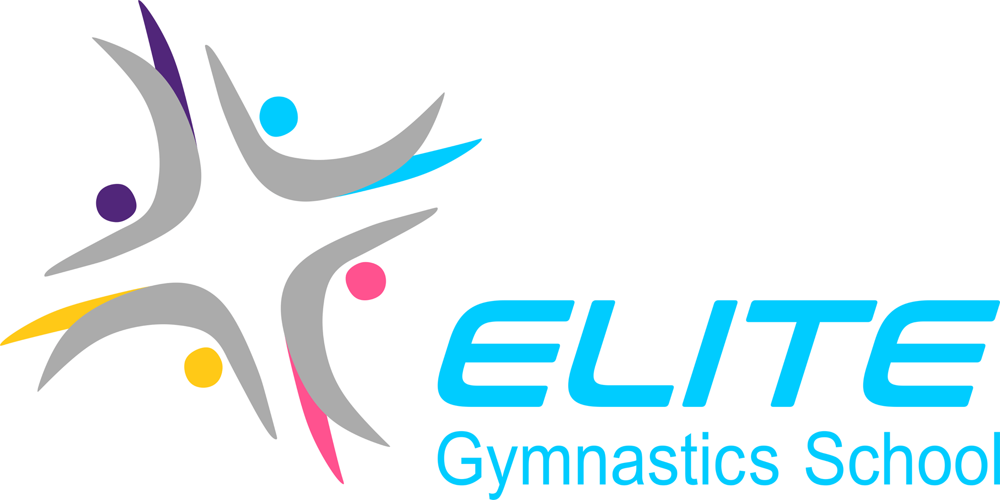 Elite Gymnastics School